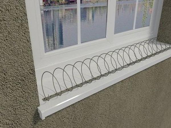 Spirale gegen Tauben